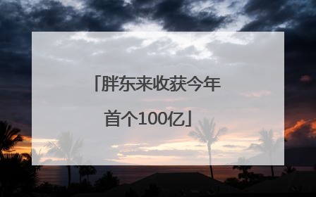 胖东来收获今年首个100亿