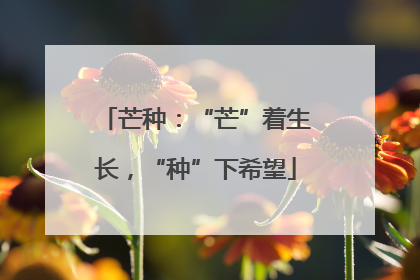 芒种：“芒”着生长，“种”下希望