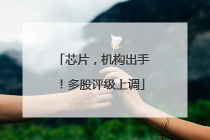 芯片，机构出手！多股评级上调