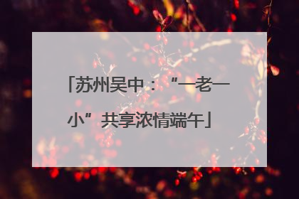 苏州吴中：“一老一小”共享浓情端午