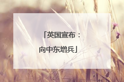 英国宣布：向中东增兵
