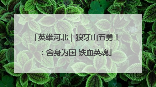 英雄河北｜狼牙山五勇士：舍身为国 铁血英魂
