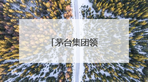 茅台集团领导层有调整