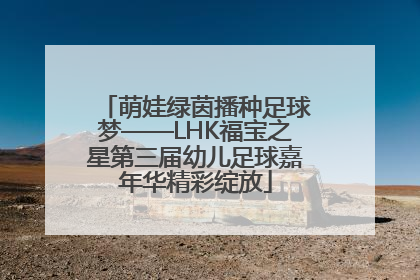 萌娃绿茵播种足球梦——LHK福宝之星第三届幼儿足球嘉年华精彩绽放