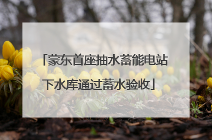 蒙东首座抽水蓄能电站下水库通过蓄水验收