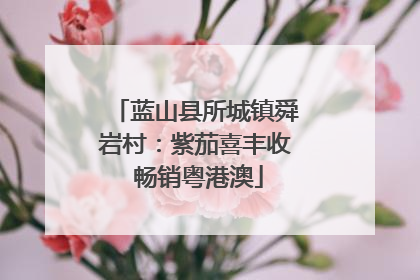 蓝山县所城镇舜岩村：紫茄喜丰收 畅销粤港澳