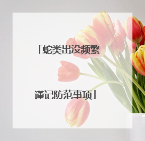 蛇类出没频繁 谨记防范事项