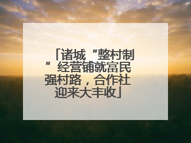 诸城“整村制”经营铺就富民强村路，合作社迎来大丰收