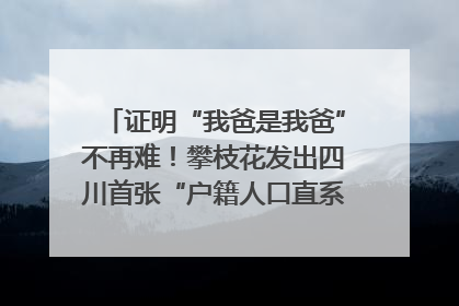 证明“我爸是我爸”不再难！攀枝花发出四川首张“户籍人口直系亲属关系谱”