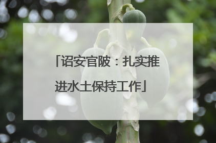 诏安官陂：扎实推进水土保持工作