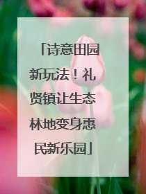诗意田园新玩法！礼贤镇让生态林地变身惠民新乐园
