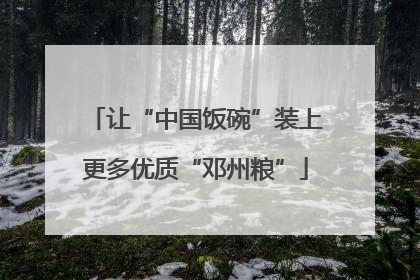让“中国饭碗”装上更多优质“邓州粮”