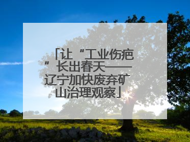 让“工业伤疤”长出春天——辽宁加快废弃矿山治理观察
