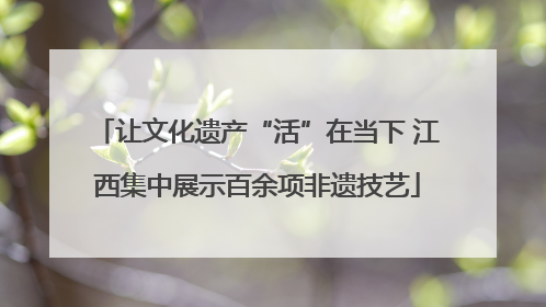 让文化遗产“活”在当下 江西集中展示百余项非遗技艺