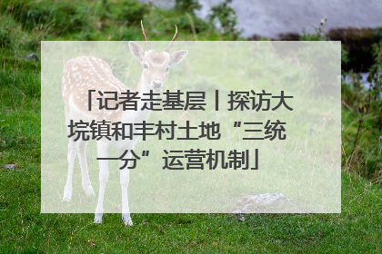 记者走基层丨探访大垸镇和丰村土地“三统一分”运营机制