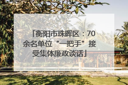 衡阳市珠晖区：70余名单位“一把手”接受集体廉政谈话