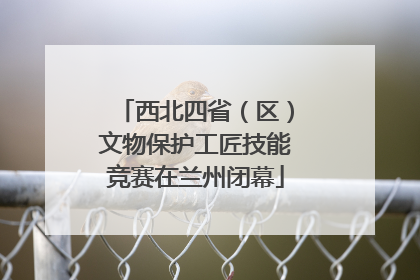 西北四省（区）文物保护工匠技能竞赛在兰州闭幕