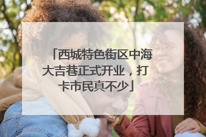 西城特色街区中海大吉巷正式开业，打卡市民真不少