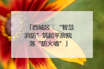 西城区：“智慧消防”筑起平房院落“防火墙”