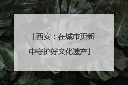 西安：在城市更新中守护好文化遗产