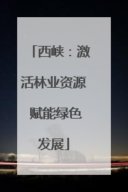 西峡：激活林业资源 赋能绿色发展