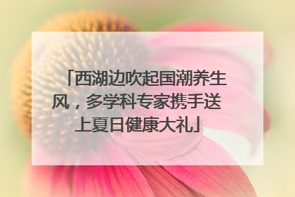 西湖边吹起国潮养生风，多学科专家携手送上夏日健康大礼