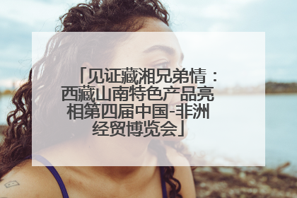 见证藏湘兄弟情：西藏山南特色产品亮相第四届中国-非洲经贸博览会