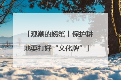 观潮的螃蟹丨保护耕地要打好“文化牌”