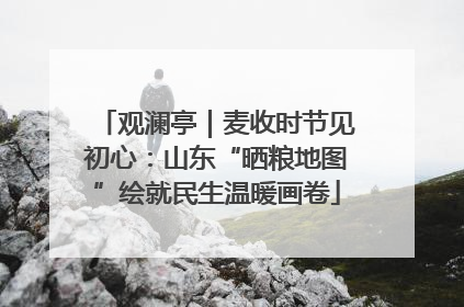 观澜亭｜麦收时节见初心：山东“晒粮地图”绘就民生温暖画卷
