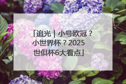 追光｜小号欧冠？小世界杯？2025世俱杯6大看点