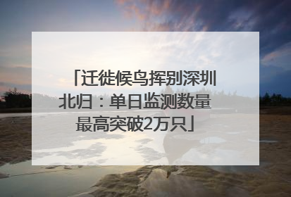迁徙候鸟挥别深圳北归：单日监测数量最高突破2万只