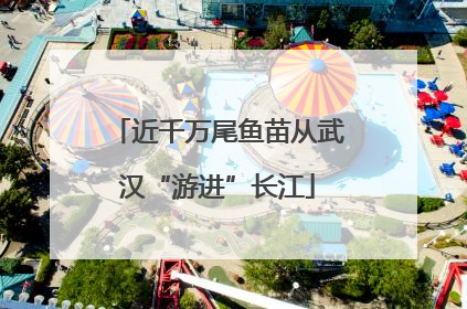 近千万尾鱼苗从武汉“游进”长江