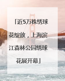 近5万株绣球花绽放，上海滨江森林公园绣球花展开幕
