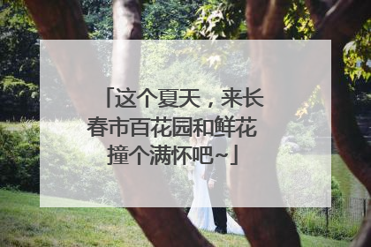这个夏天，来长春市百花园和鲜花撞个满怀吧~