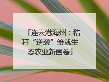 连云港海州：秸秆“逆袭”绘就生态农业新画卷