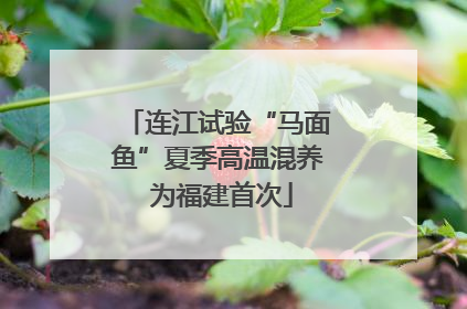 连江试验“马面鱼”夏季高温混养 为福建首次