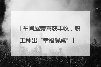 车间屋旁喜获丰收，职工种出“幸福餐桌”