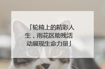 轮椅上的精彩人生，雨花区助残活动展现生命力量