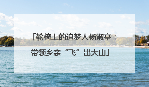 轮椅上的追梦人杨淑亭：带领乡亲“飞”出大山
