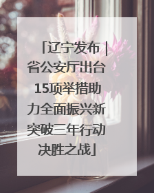 辽宁发布｜省公安厅出台15项举措助力全面振兴新突破三年行动决胜之战