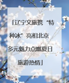 辽宁文旅携“特种冰”亮相北京 多元魅力点燃夏日旅游热情