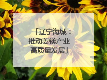 辽宁海城：推动菱镁产业高质量发展