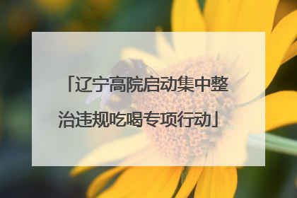 辽宁高院启动集中整治违规吃喝专项行动