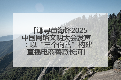 谦寻董海锋2025中国网络文明大会发声：以“三个向善”构建直播电商善意长河