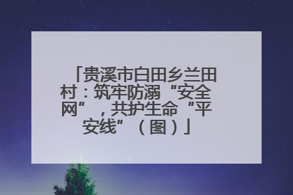 贵溪市白田乡兰田村：筑牢防溺“安全网”，共护生命“平安线”（图）