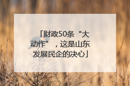 财政50条“大动作”，这是山东发展民企的决心