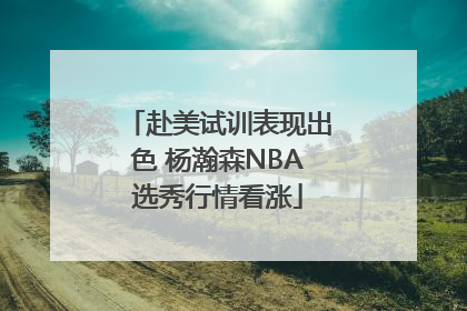 赴美试训表现出色 杨瀚森NBA选秀行情看涨