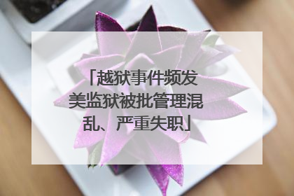 越狱事件频发 美监狱被批管理混乱、严重失职