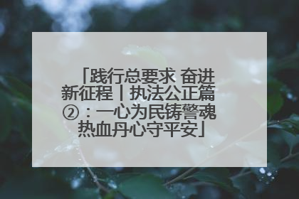 践行总要求 奋进新征程丨执法公正篇②：一心为民铸警魂 热血丹心守平安