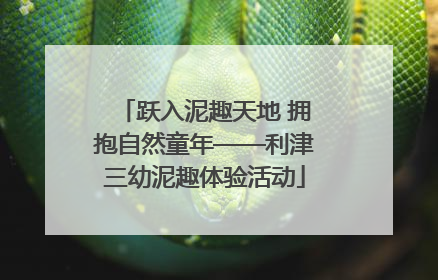 跃入泥趣天地 拥抱自然童年——利津三幼泥趣体验活动
